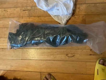 Photo of free trees (Kennington SE11) #1