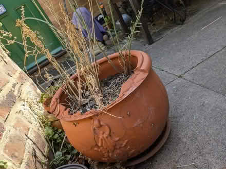 Photo of free Clay Pot - damaged (Selsdon, South Croydon) #3