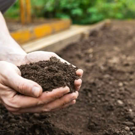 Photo of Compost for planting (Home CV34) #1