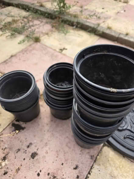 Photo of free 20+ small plant pots (Luton LU2) #1