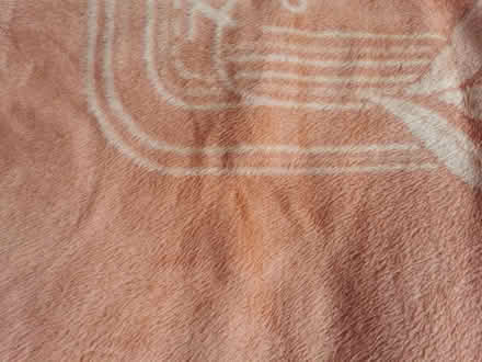 Photo of free Large fleece blanket (Llansilin SY10) #2