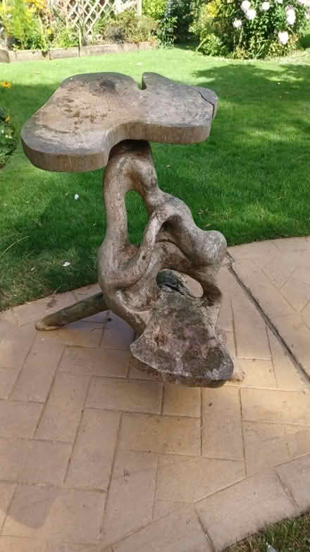 Photo of free Garden feature. Hard Wood (Coventry CV3) #1