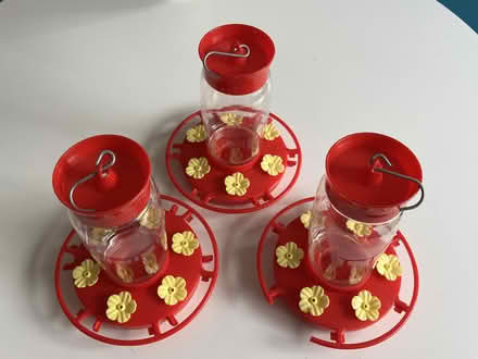 Photo of free Humming bird feeders (Concord) #1