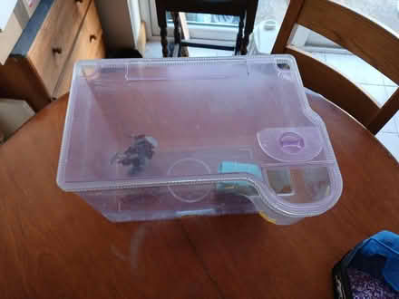 Photo of free Fishtank with accessories (Stoke Hammond MK17) #2