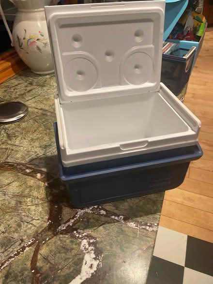 Photo of free Colman mini-cooler (DC side of Warrenton) #2