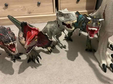 Photo of free 5 big dinosaurs (Campbell Park MK9) #4