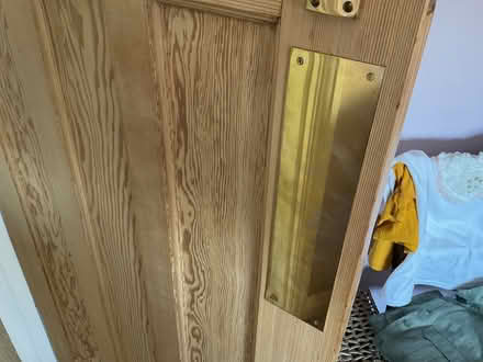 Photo of Brass finger plates. (Burnham SL1) #1