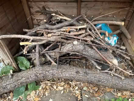 Photo of free Firewood (St Albans AL3) #1