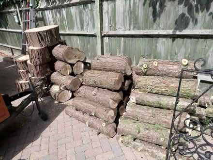 Photo of free Softwood cord and logs (Caversham rg47dd) #1