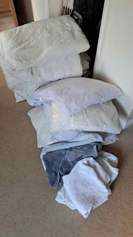 Photo of free duvets, cushions towels (Matfield TN12) #1