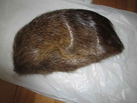 Photo of free fur hat #2 (Old Ottawa South) #1