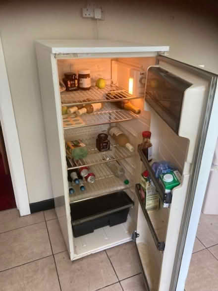 Photo of free Fridge - Tall Freestanding (Selly Park) #1