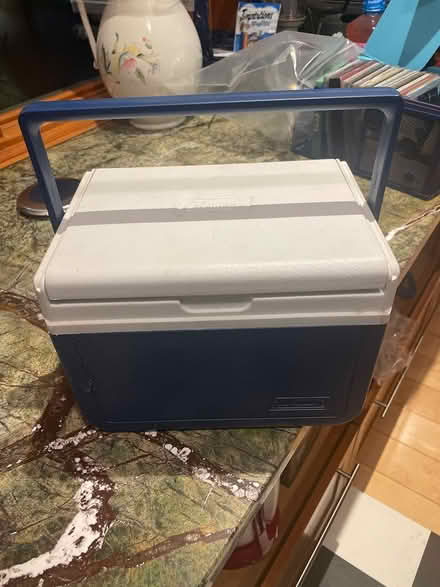 Photo of free Colman mini-cooler (DC side of Warrenton) #1