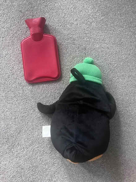 Photo of free Penguin hot water bottle (Harringay N8) #4