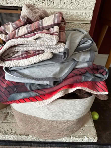 Photo of free dog blankets (Central San Rafael) #1