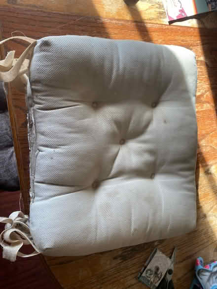 Photo of free Chair cushions (Montebello) #1