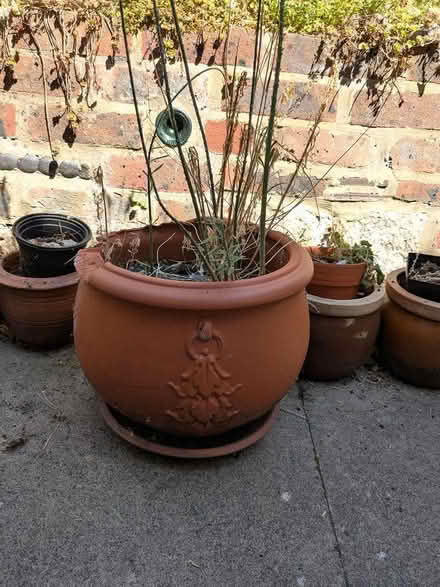 Photo of free Clay Pot - damaged (Selsdon, South Croydon) #2