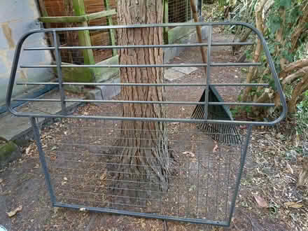 Photo of free Volkswagen Sharan Dog Guard (Old Woking GU22) #1