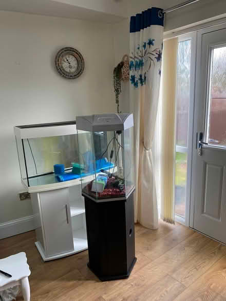 Photo of free aquariums (South Shields NE34) #1