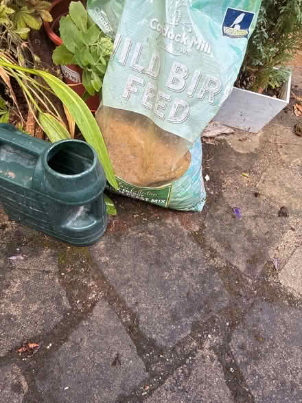 Photo of free Building sand. (Faversham ME13) #1
