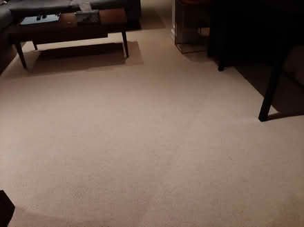Photo of free section of carpet (Kanata) #1