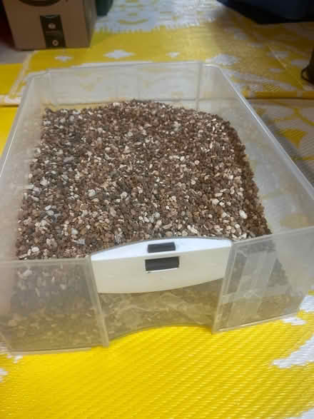 Photo of free Fish tank gravel (Tinton falls) #1