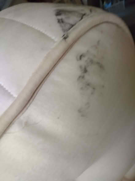 Photo of free Single mattress (St. Werburghs BS2) #2