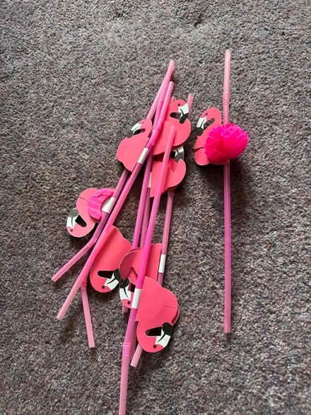 Photo of free Novelty straws - flamingos (Funtley PO17) #1