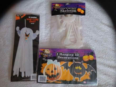 Photo of free Halloween decorations (Hanworth TW13) #1
