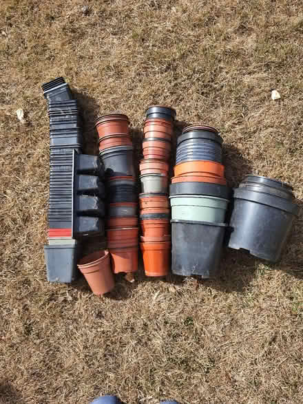 Photo of free Plant pots for potting on etc (Stroud central GL5) #1