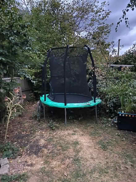 Photo of free Graden trampoline (Higham Hill E17) #1
