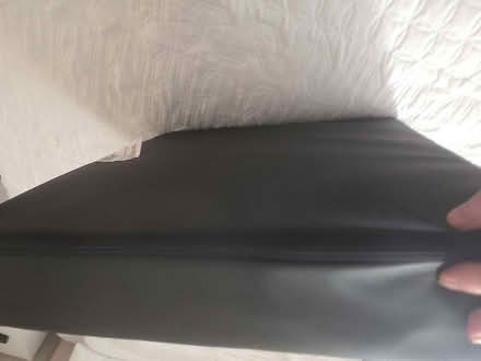 Photo of free black riser cushoni (Upper Luton ME5) #2