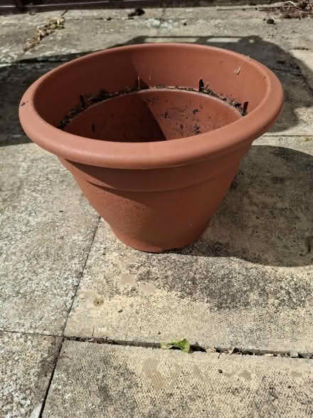 Photo of free Plant pots (Witham CM8) #4