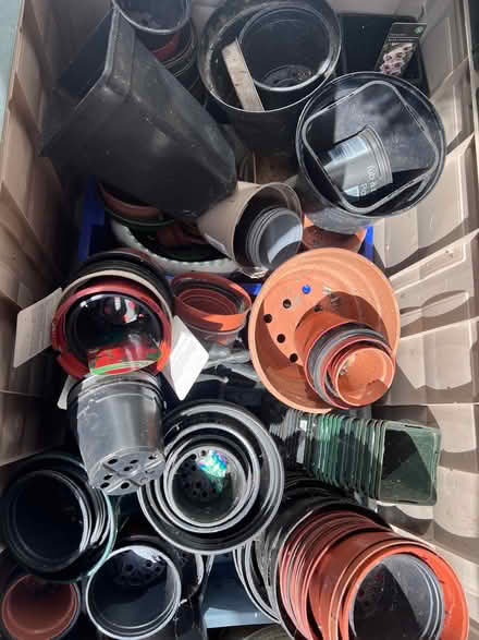 Photo of free plastic plant pots (Harringay N8) #1