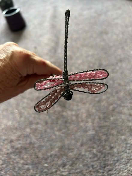 Photo of free Dragonfly decoration (Funtley PO17) #1