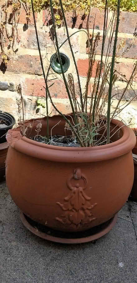 Photo of free Clay Pot - damaged (Selsdon, South Croydon) #1