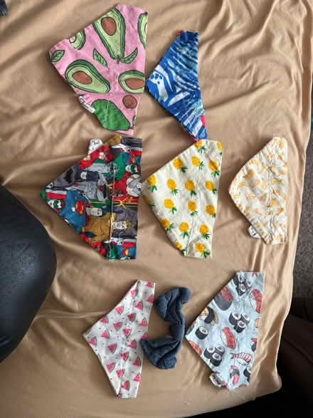 Photo of free Small Dog/ Cat Bandanas (3rd and 112th St) #1