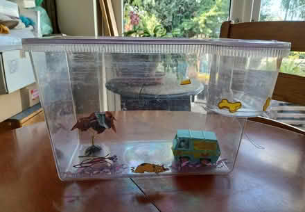 Photo of free Fishtank with accessories (Stoke Hammond MK17) #1