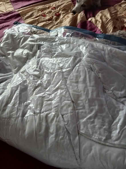 Photo of free Duvet king size 13.5 tog (East Wall Dublin3) #1