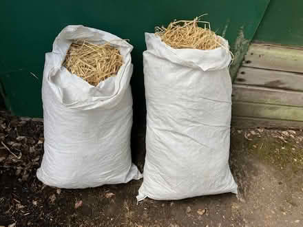 Photo of free barley straw 5 bags (Caversham) #1