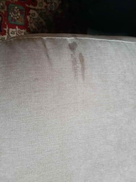 Photo of free Sofa cushions (Norton Lees S8) #2