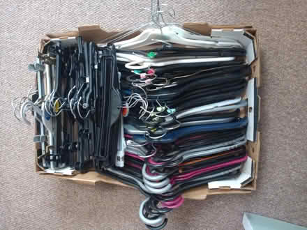 Photo of free Box of coat hangers (Manningtree CO11) #1