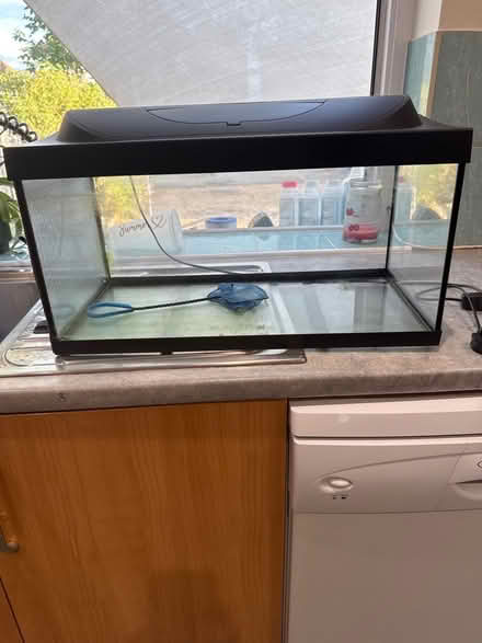 Photo of free Fish tank with lamp (Staines upon thames TW18) #1