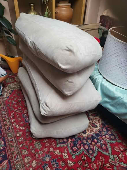 Photo of free Sofa cushions (Norton Lees S8) #1