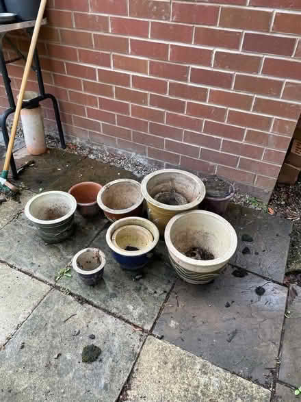 Photo of free Selection of Outdoor Plant Pots (Vicars Cross CH3) #1