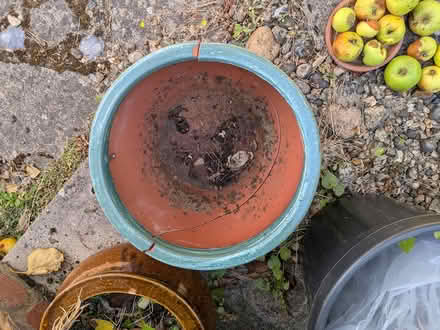 Photo of free Ceramic Pot - Cracked (Selsdon, South Croydon) #3