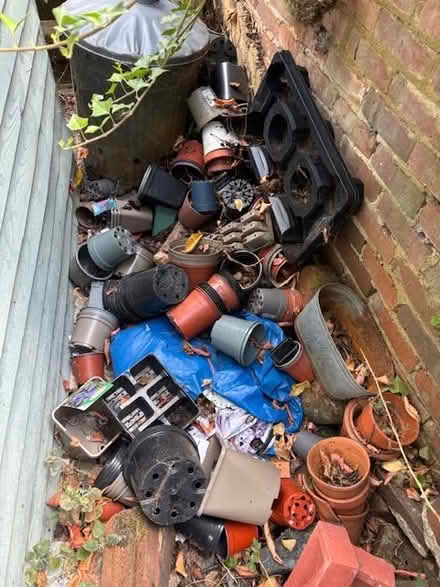 Photo of free Lots of plastic flowerpots/trays/planter (St Albans AL3) #1