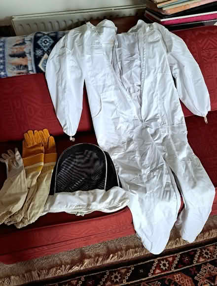 Photo of free Beekeeper's Suit (Harden Moor BD21) #1