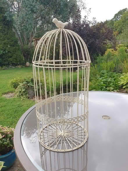Photo of free Cream metal ornamental cage (TS17 Ingleby Barwick) #1
