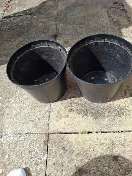 Photo of free Plant pots (Witham CM8) #3